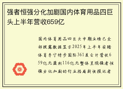 强者恒强分化加剧国内体育用品四巨头上半年营收659亿